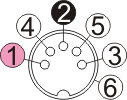 5-polige DIN-Buchse (Robbe)